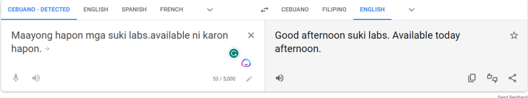 Google Translate Result